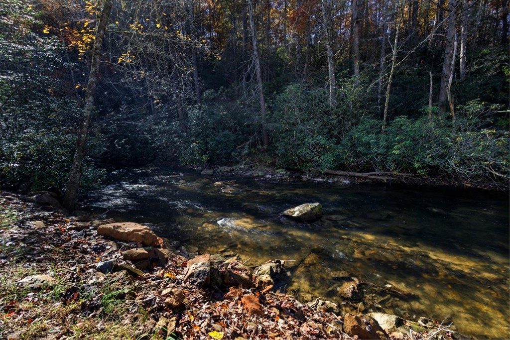 163 Cherokee Path Property Photo 11