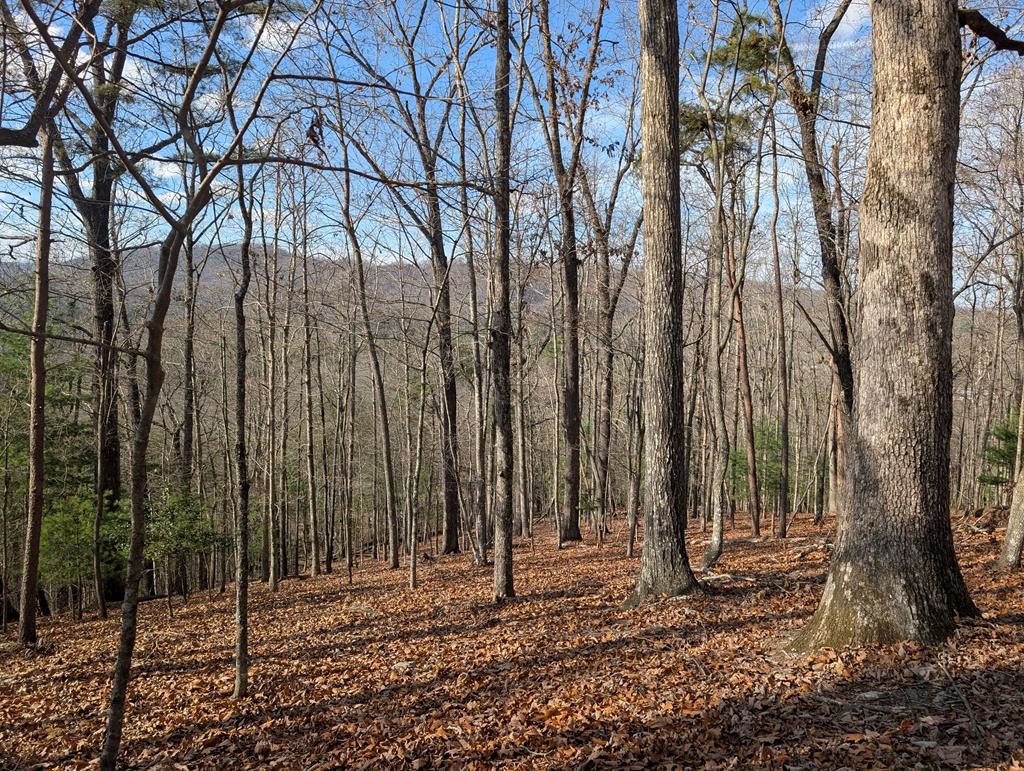 902 Mountain Top Drive Property Photo 1