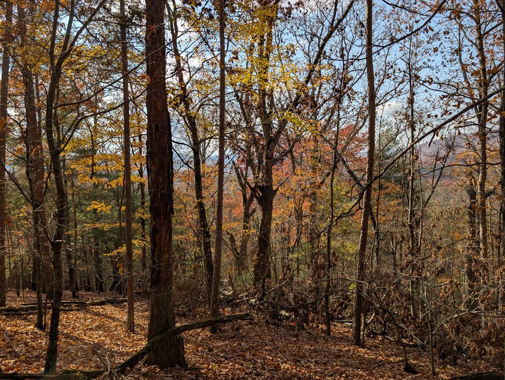 902 Mountain Top Drive Property Photo 2