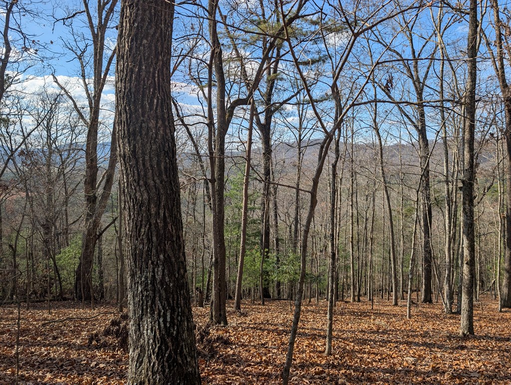 902 Mountain Top Drive Property Photo 4
