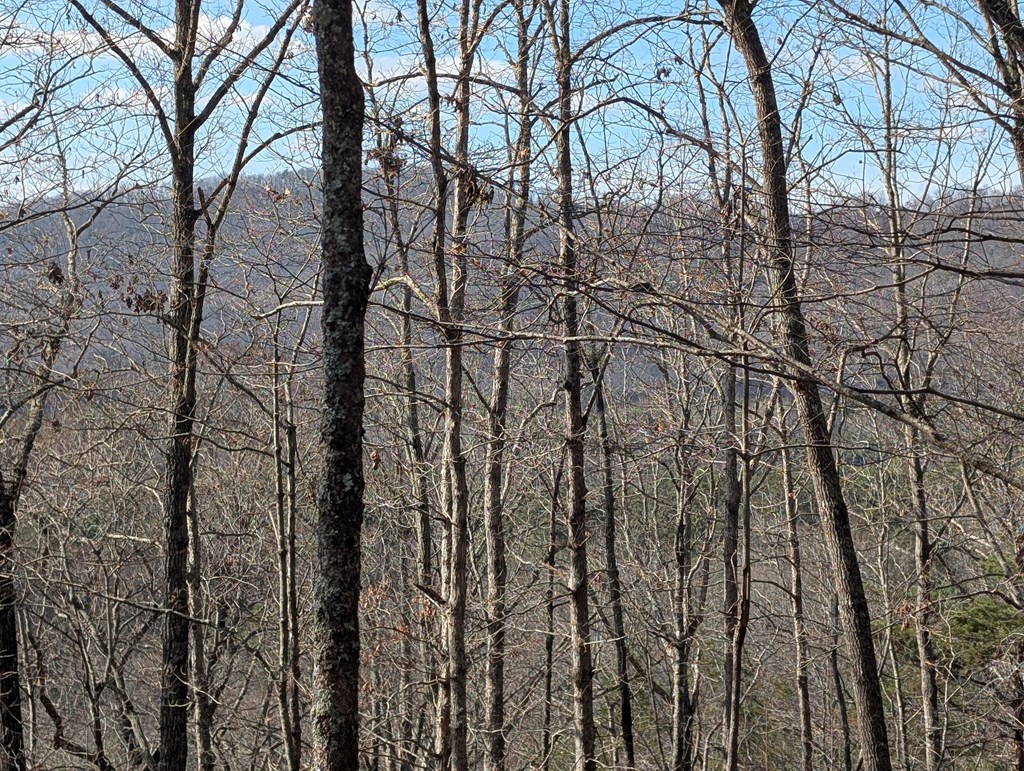 902 Mountain Top Drive Property Photo 7