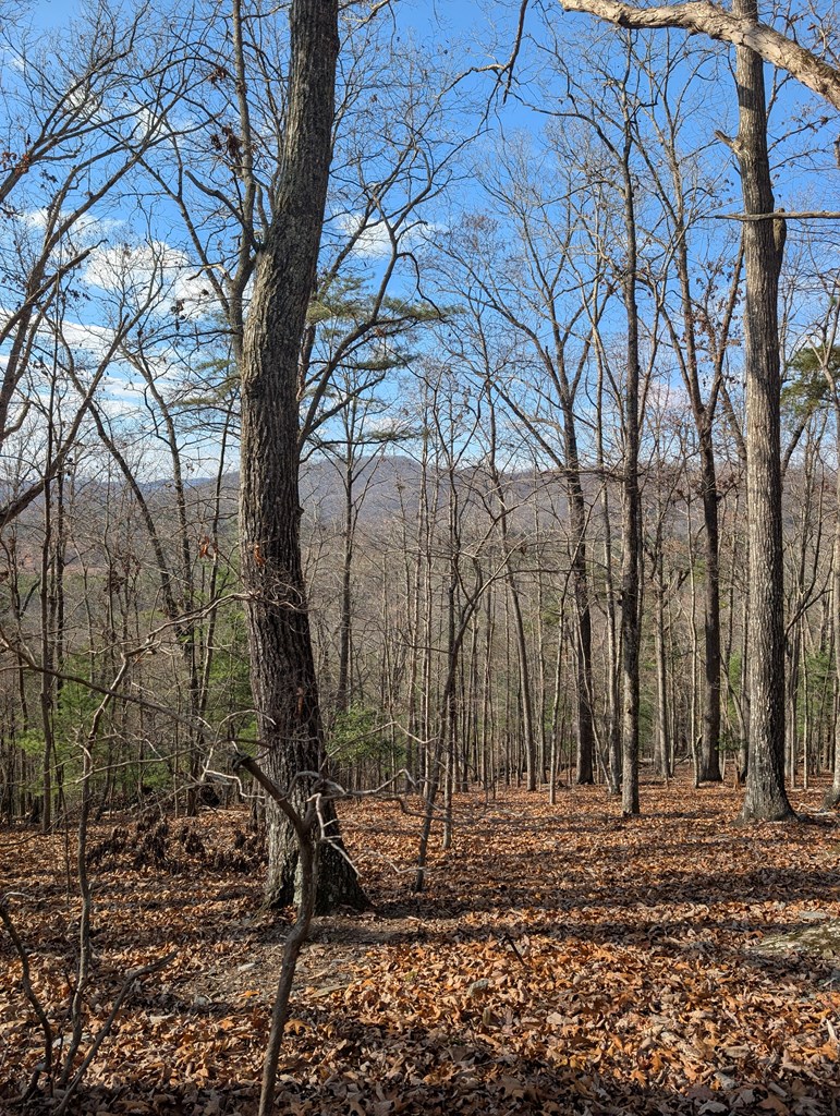 902 Mountain Top Drive Property Photo 8