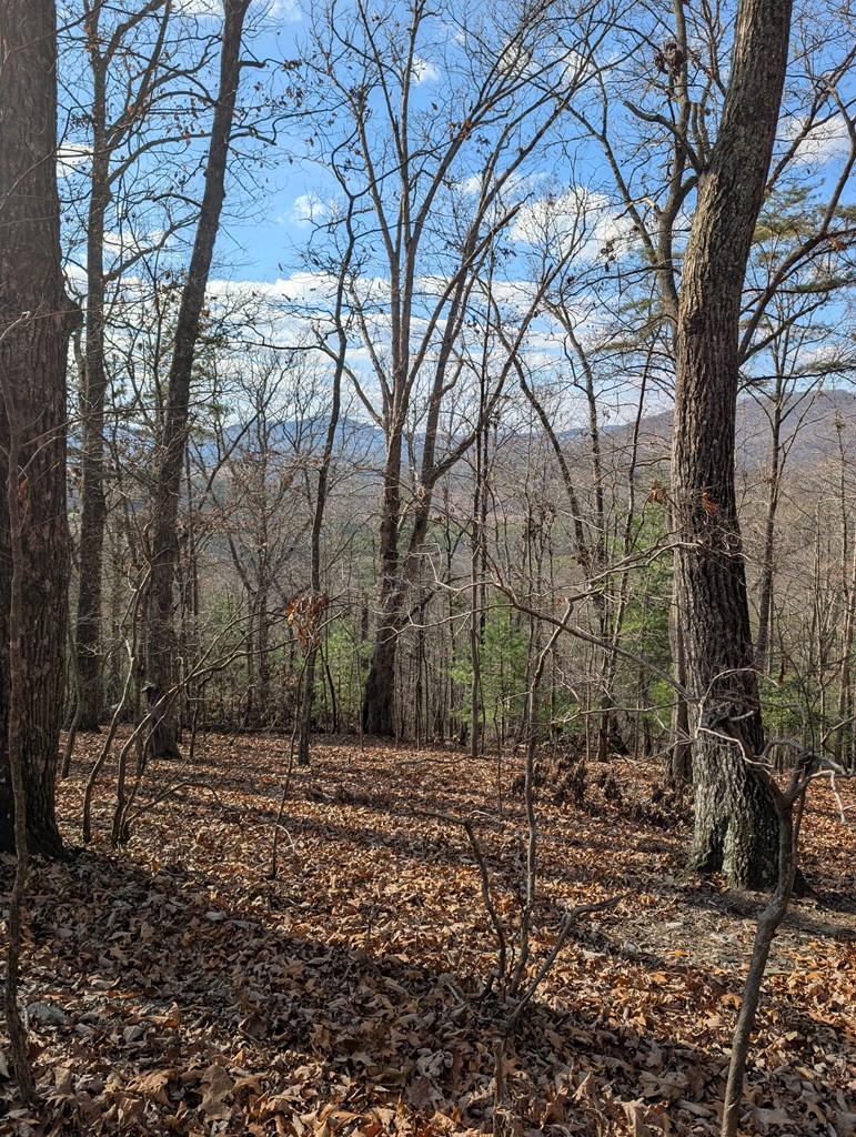 902 Mountain Top Drive Property Photo 10