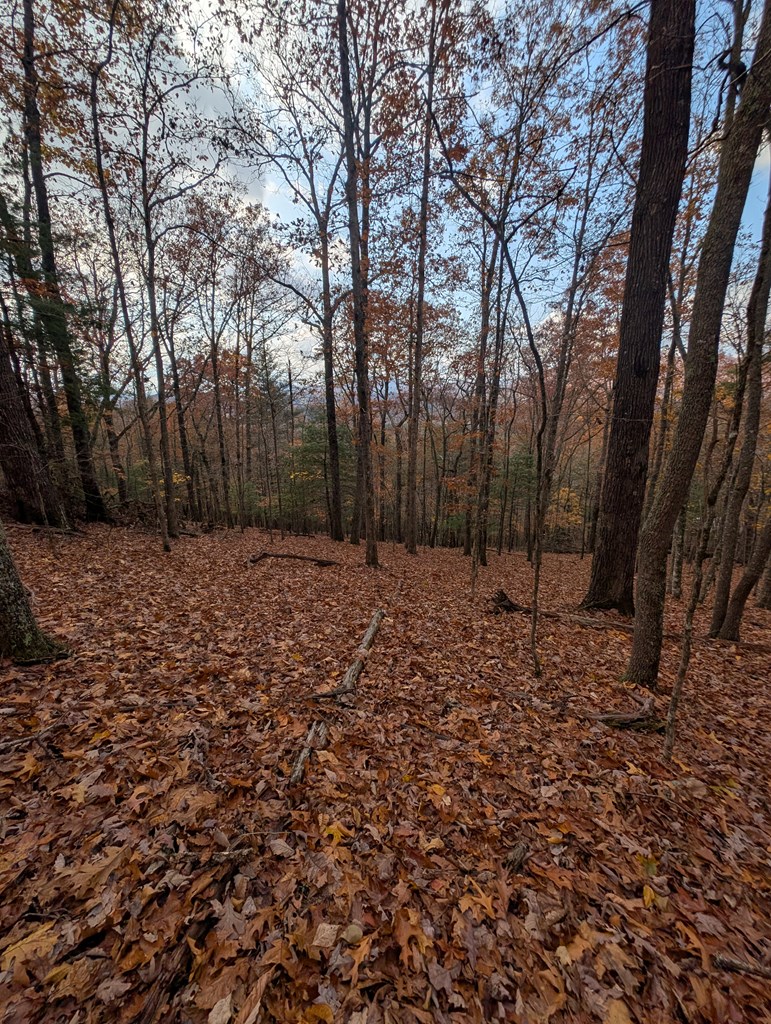 902 Mountain Top Drive Property Photo 12