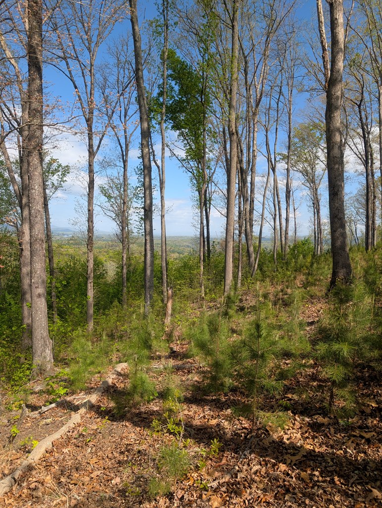 Lot 91 Winding Ridge Property Photo 4