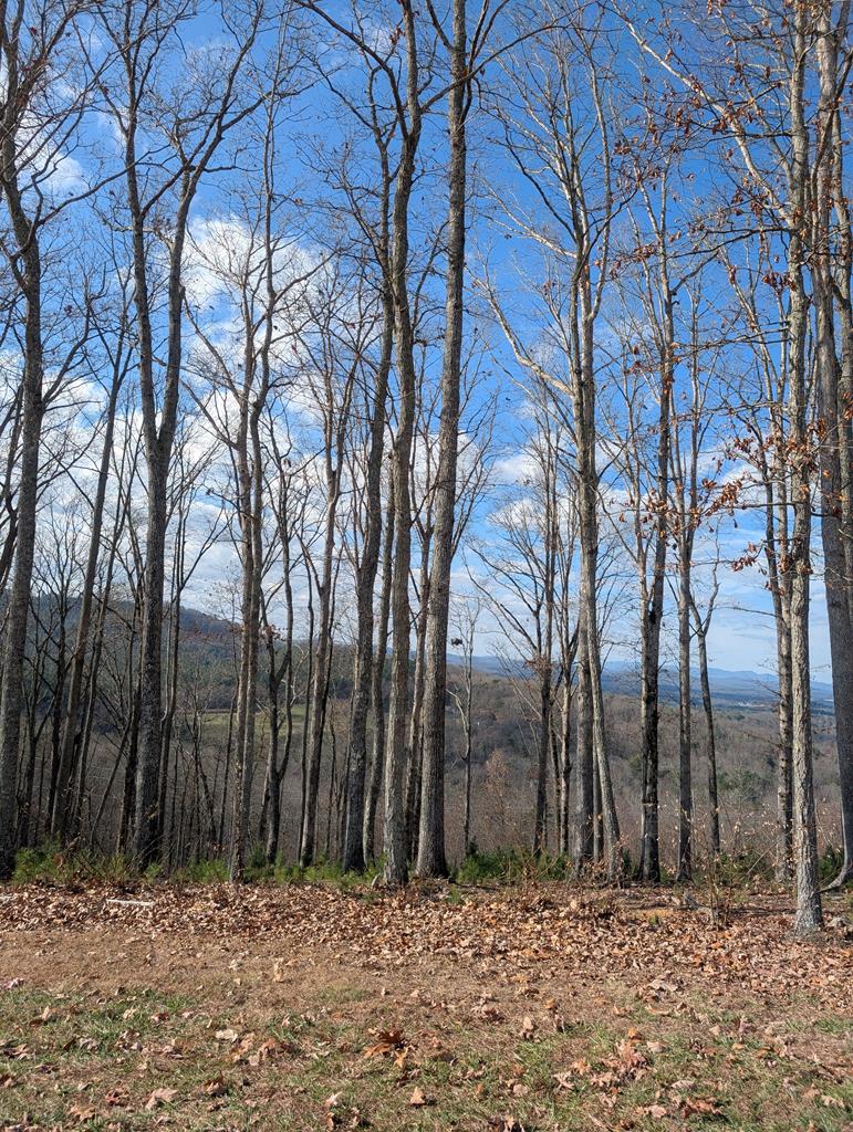 Lot 91 Winding Ridge Property Photo 5