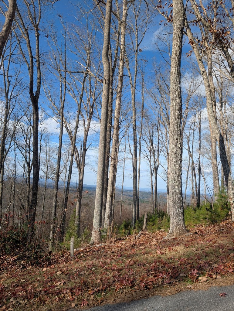 Lot 91 Winding Ridge Property Photo 6