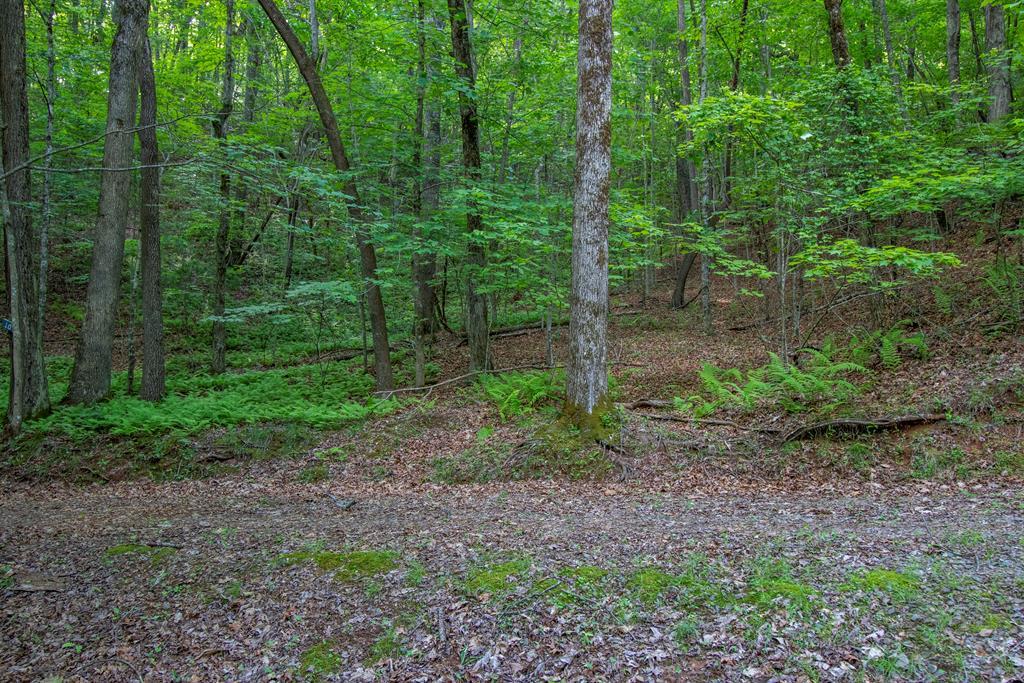 00 Laurel Mountain Road Property Photo 1