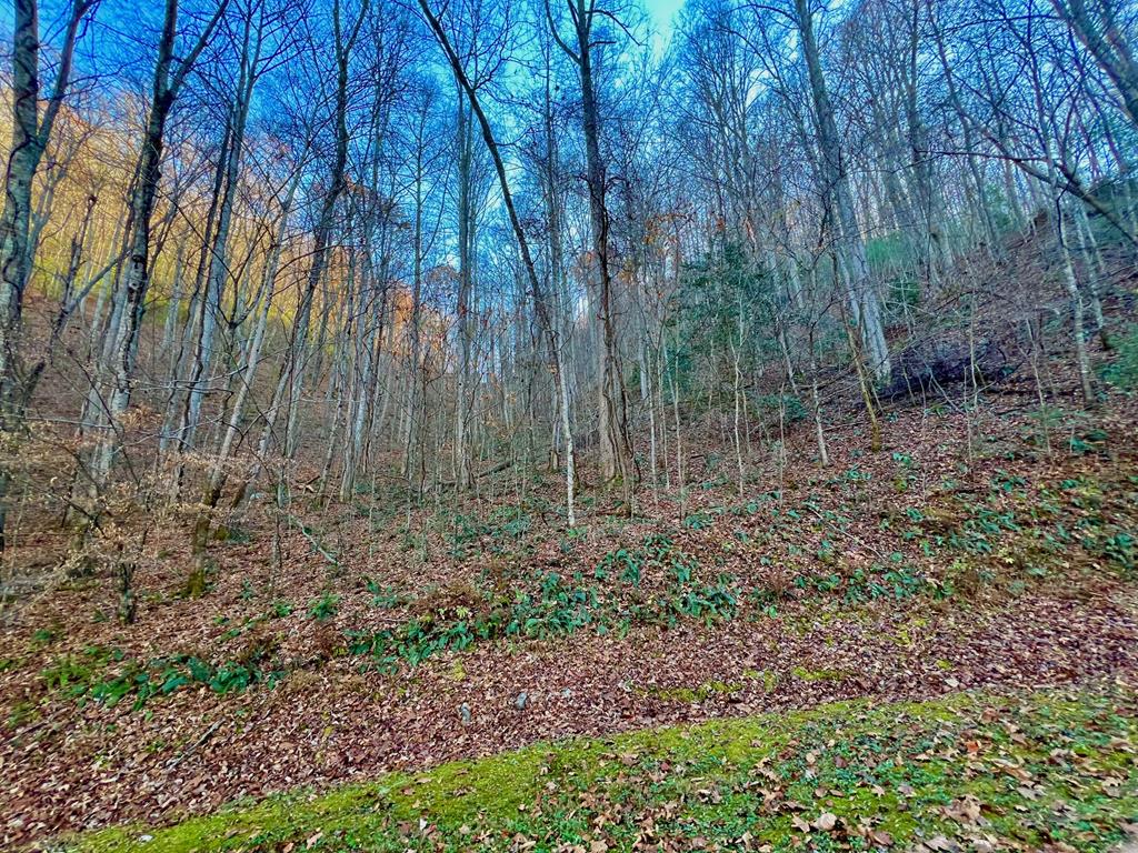 22 Walker Ridge Property Photo 1