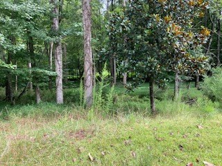 Lt 3505r Castle Court Property Photo 6