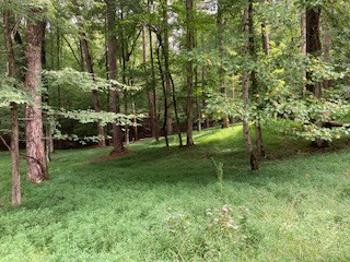 Lt 3505r Castle Court Property Photo 7