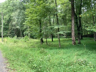 Lt 3505r Castle Court Property Photo 9