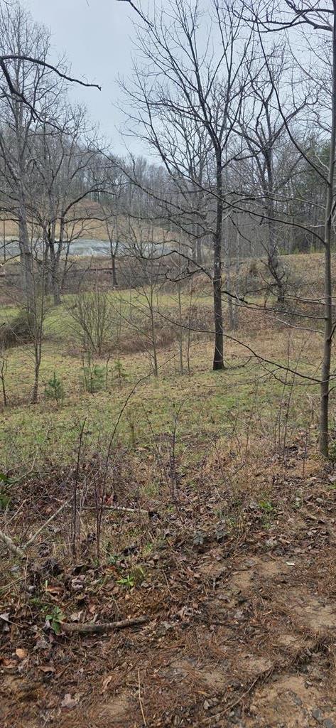 205 Posey Place Property Photo 8