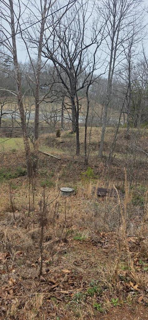 205 Posey Place Property Photo 11