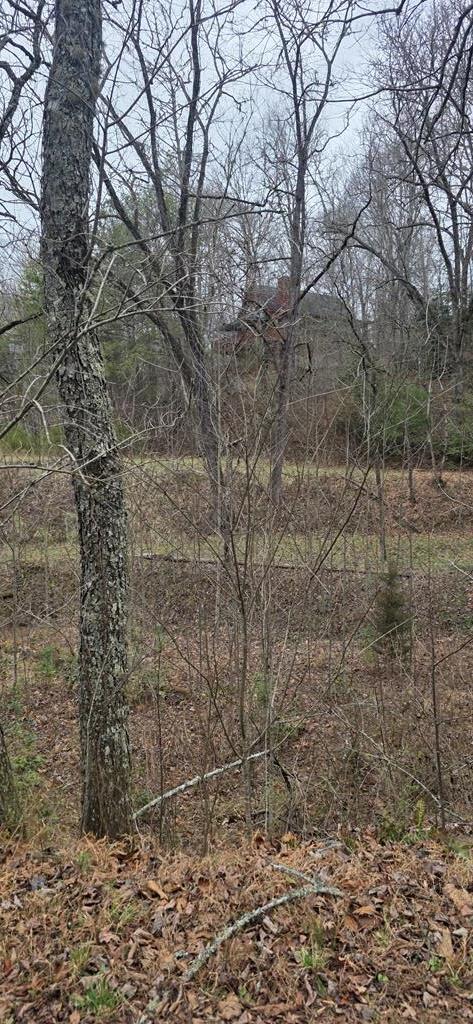 205 Posey Place Property Photo 14