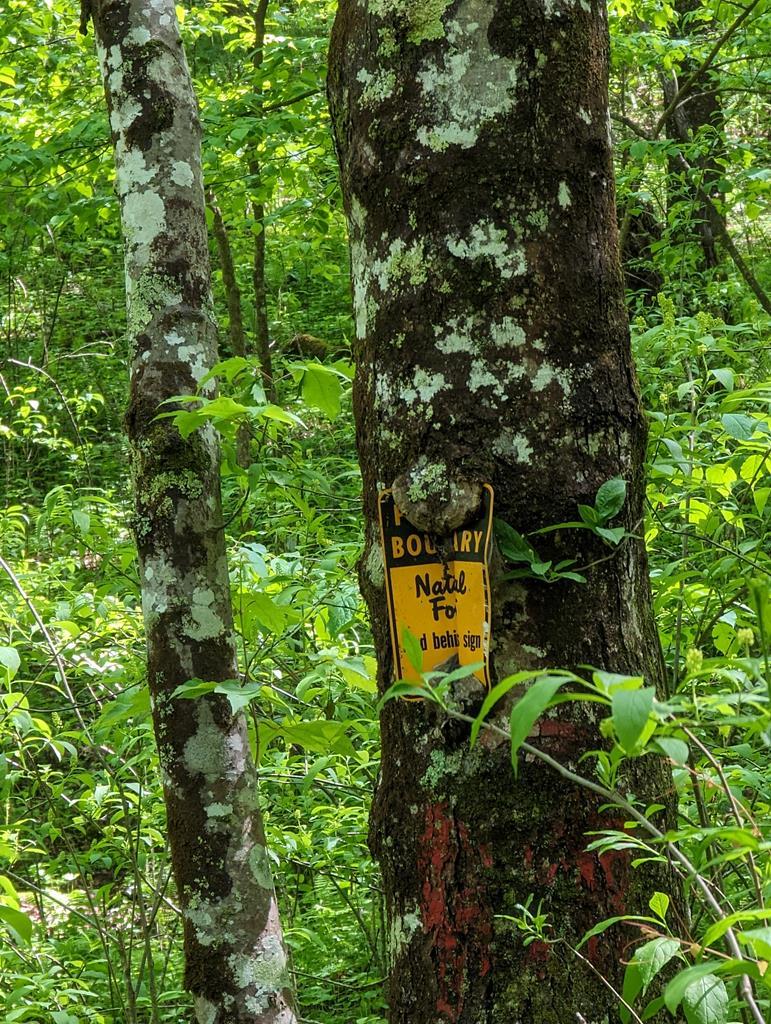 00 Buck Creek Trail Property Photo 1