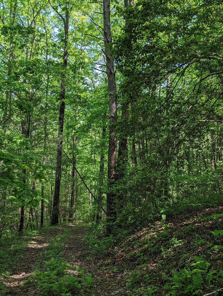 00 Buck Creek Trail Property Photo 6