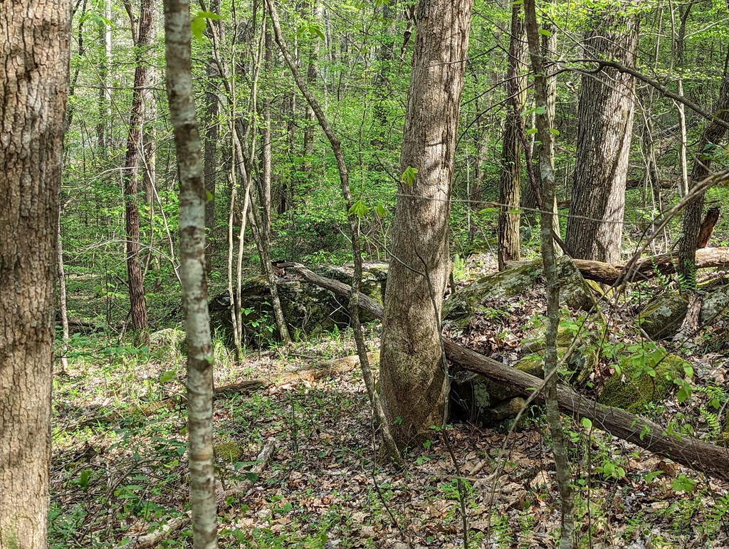 00 Buck Creek Trail Property Photo 11