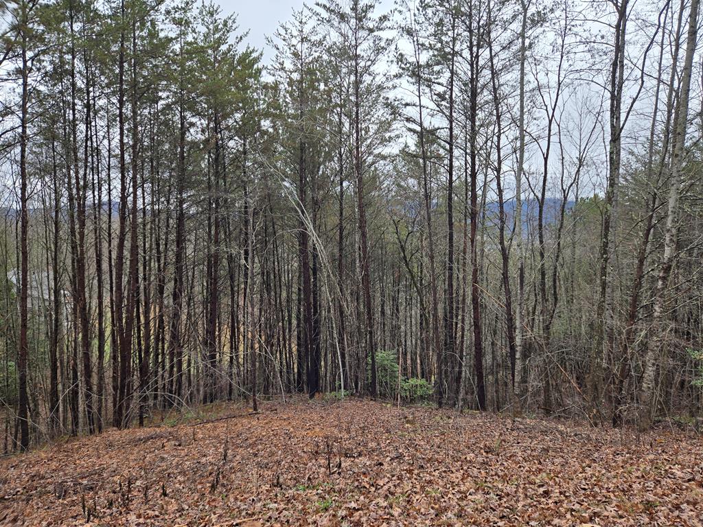 Lot 101 Eagles View Crescent Property Photo 1