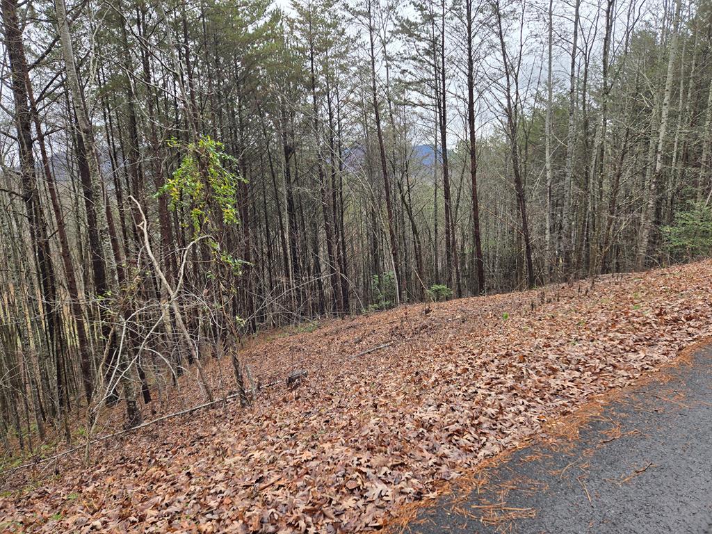 Lot 101 Eagles View Crescent Property Photo 4