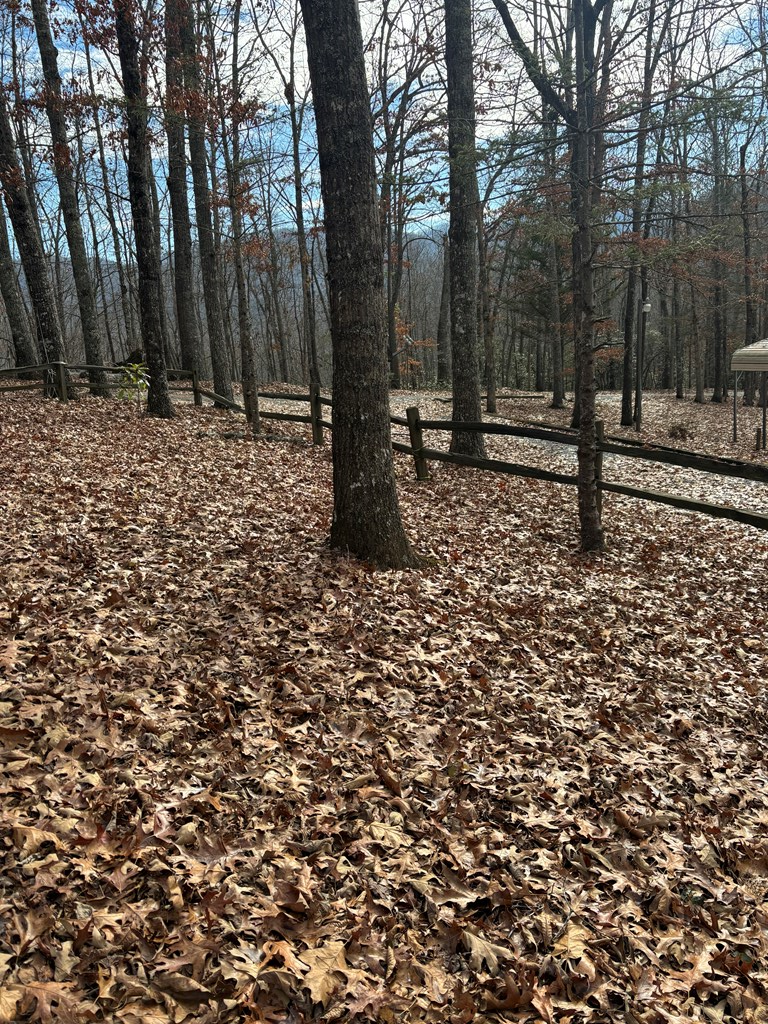 119 Laurel Branch Drive Property Photo 22