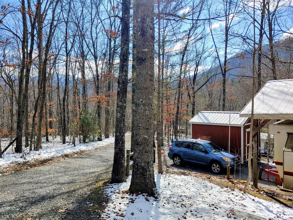 119 Laurel Branch Drive Property Photo 47