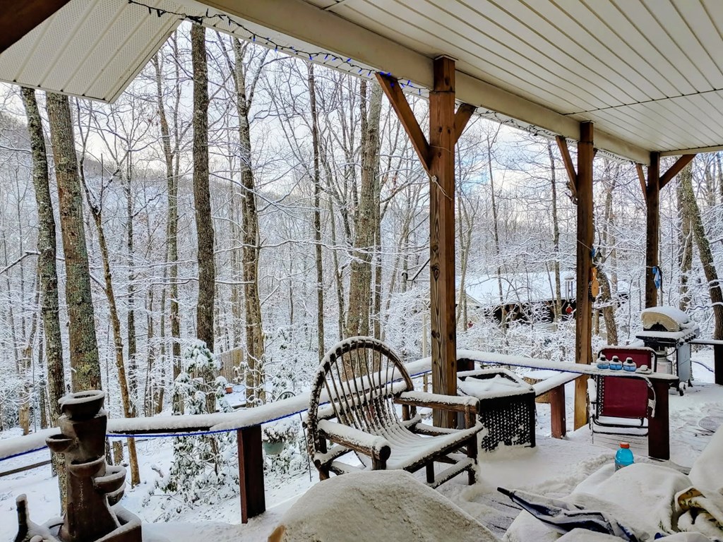 119 Laurel Branch Drive Property Photo 49