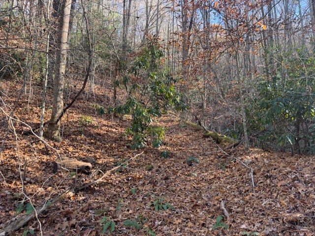 68 Acres Ponderosa Road Property Photo 4