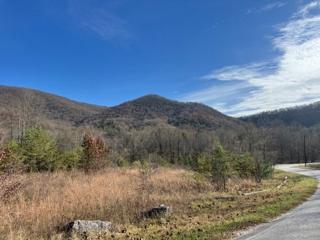 68 Acres Ponderosa Road Property Photo 15