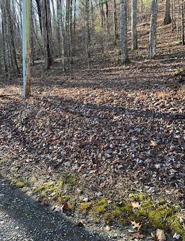 26 Soapstone Creek Circle Property Photo 2