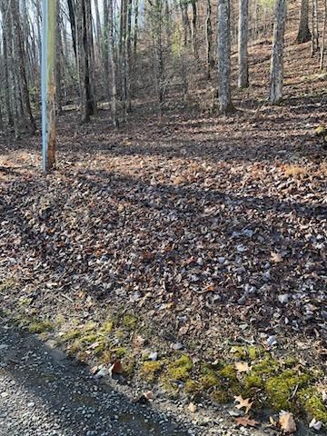 26 Soapstone Creek Circle Property Photo 3
