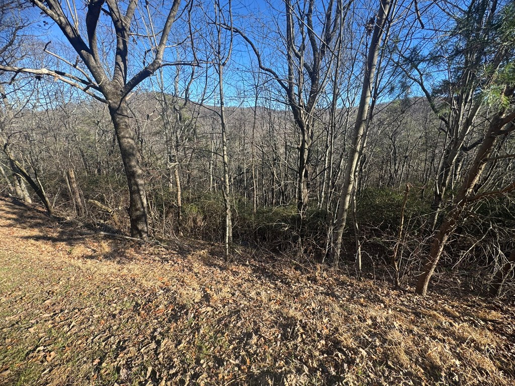 Lot 228 Andes Ridge Property Photo 5
