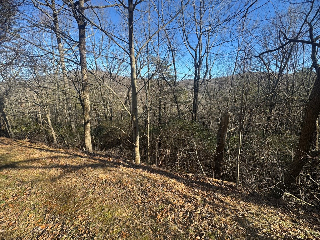 Lot 228 Andes Ridge Property Photo 6