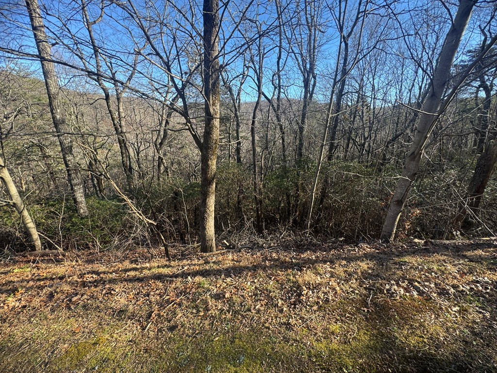 Lot 228 Andes Ridge Property Photo 7