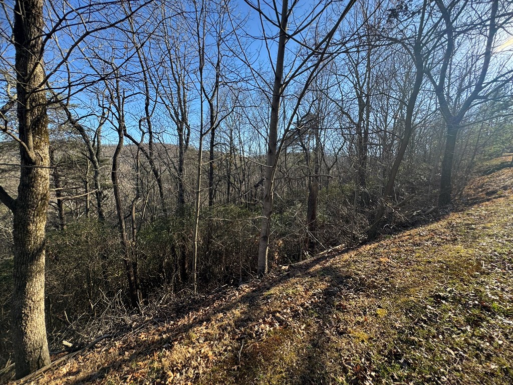 Lot 228 Andes Ridge Property Photo 8