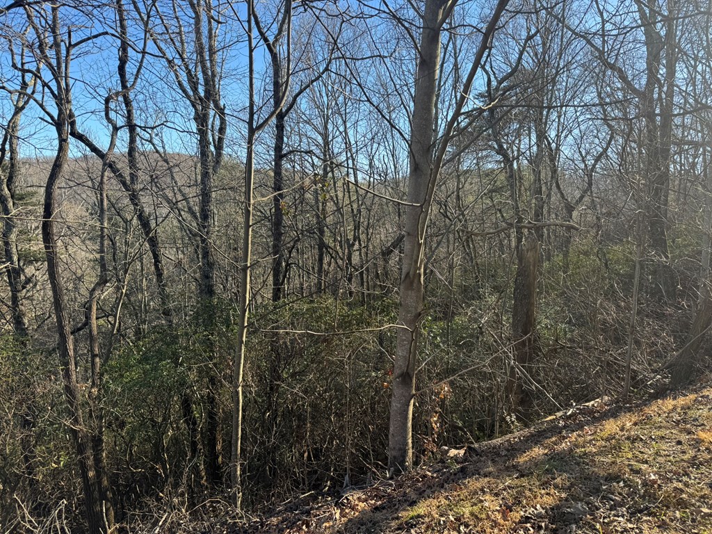 Lot 228 Andes Ridge Property Photo 9