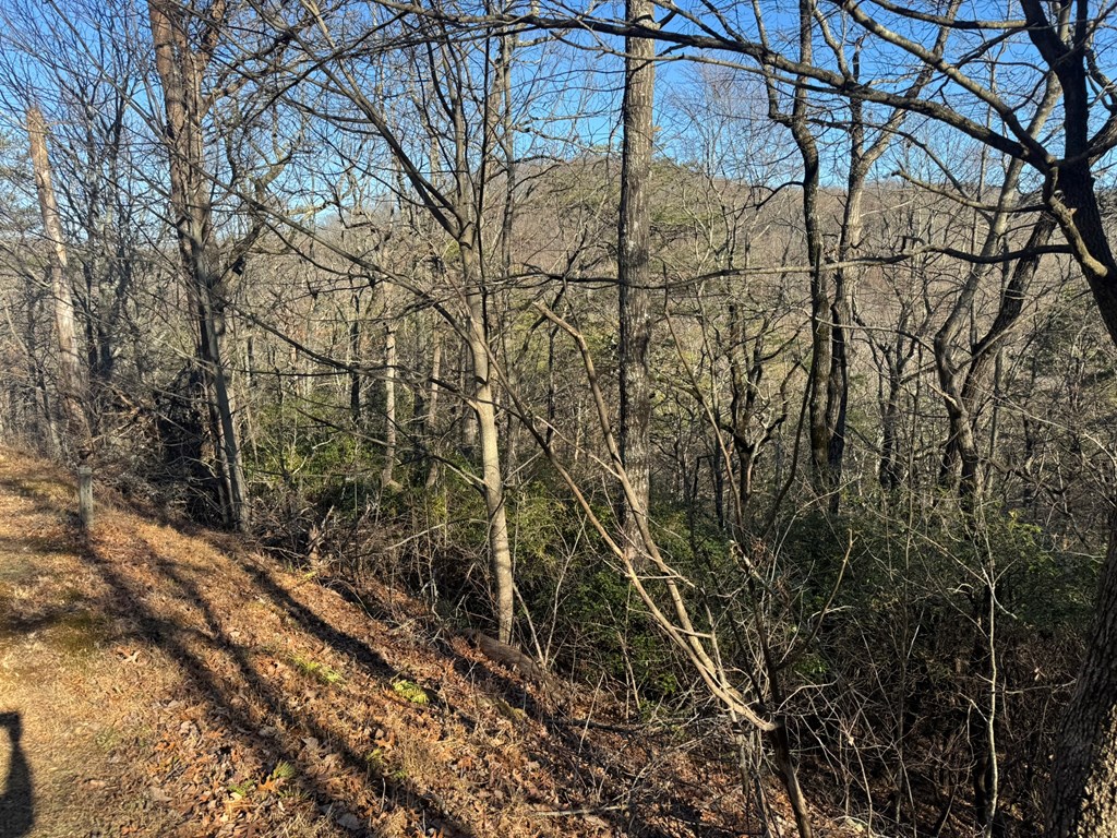 Lot 228 Andes Ridge Property Photo 10