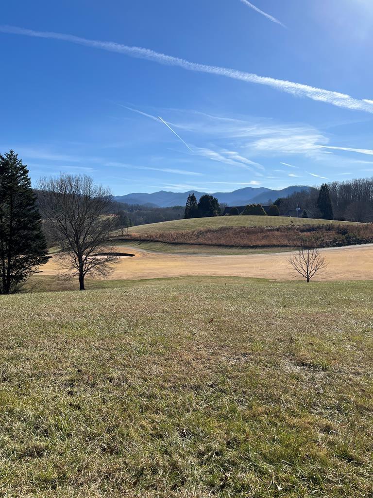 Lot 116a Mountain Harbour Drive Property Photo 2