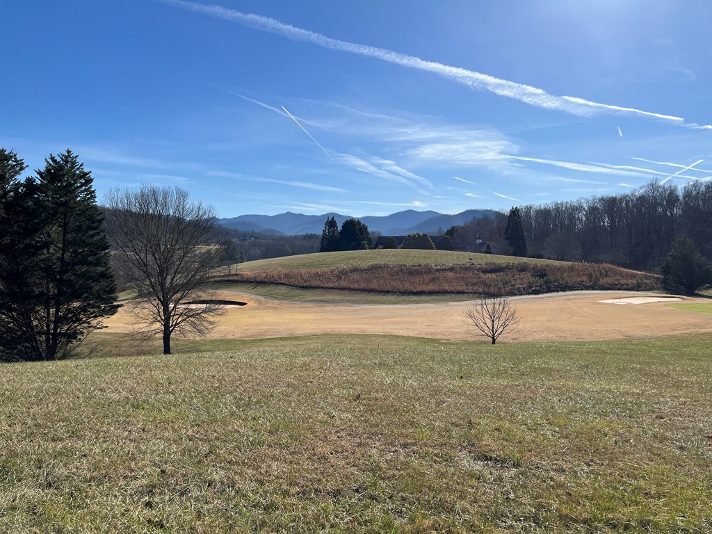 Lot 116a Mountain Harbour Drive Property Photo 4
