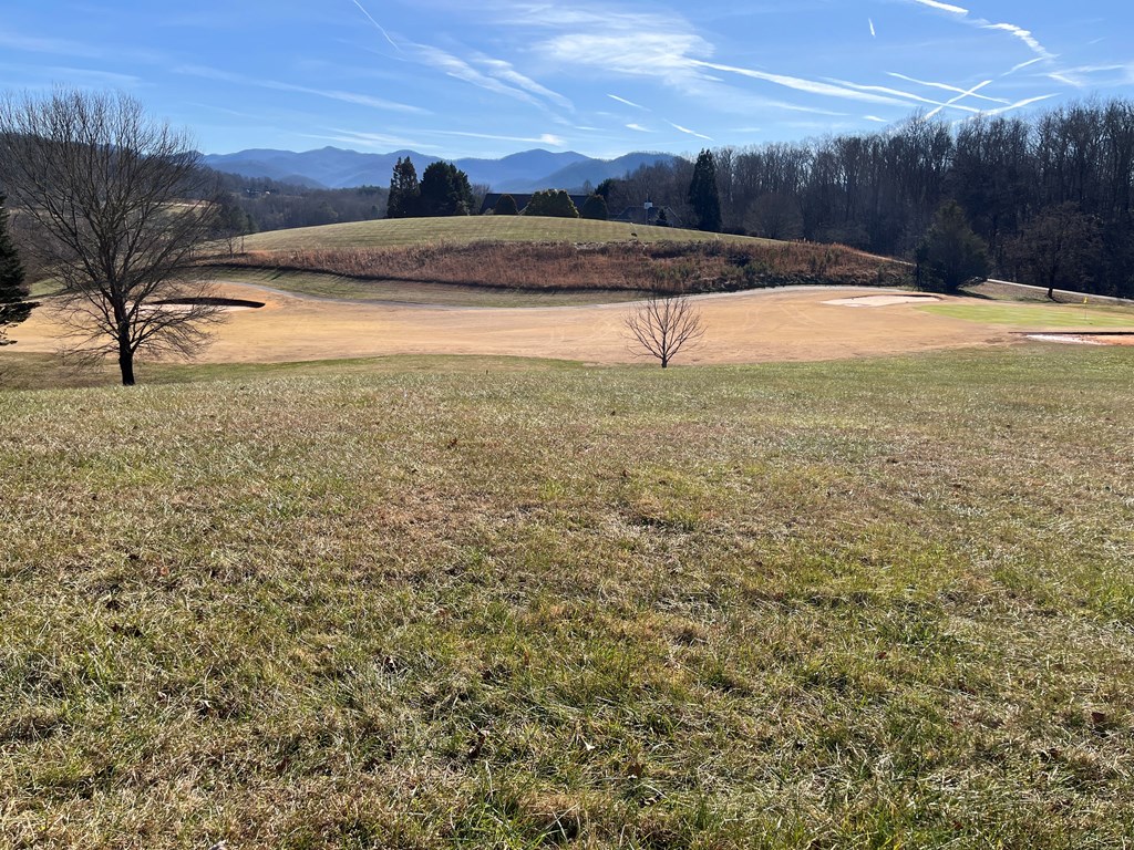 Lot 116a Mountain Harbour Drive Property Photo 5