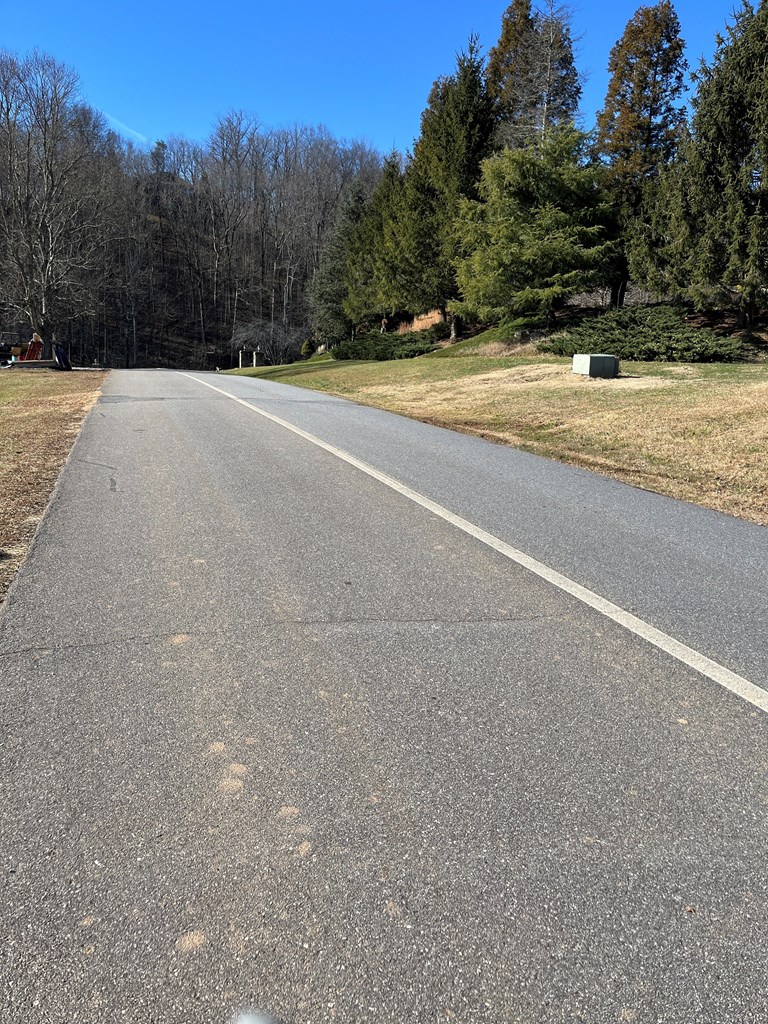 Lot 116a Mountain Harbour Drive Property Photo 6
