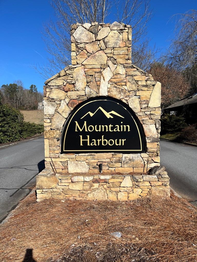 Lot 116a Mountain Harbour Drive Property Photo 8