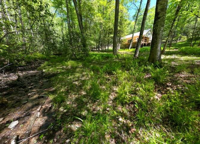 175 Broadtree Branch Drive Property Photo 11