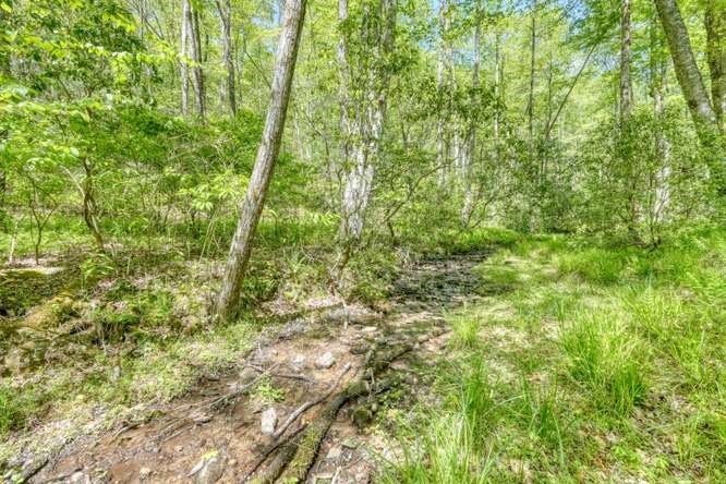 175 Broadtree Branch Drive Property Photo 17