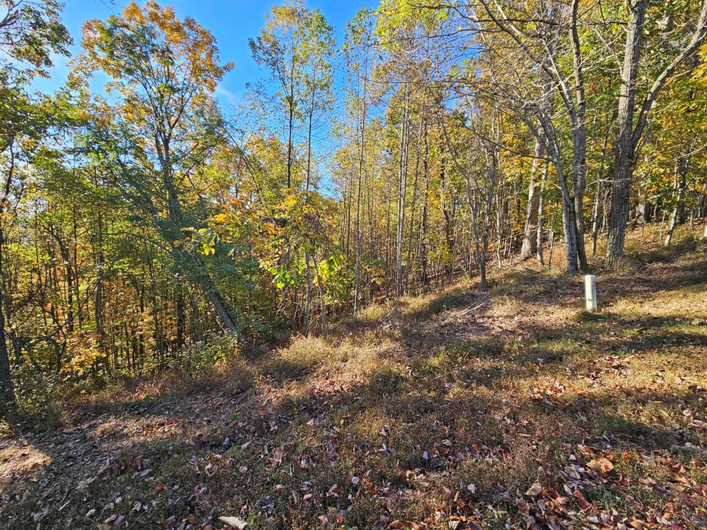 38 Trophy Buck Point Property Photo 5