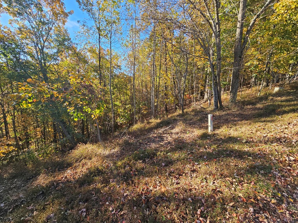 38 Trophy Buck Point Property Photo 8