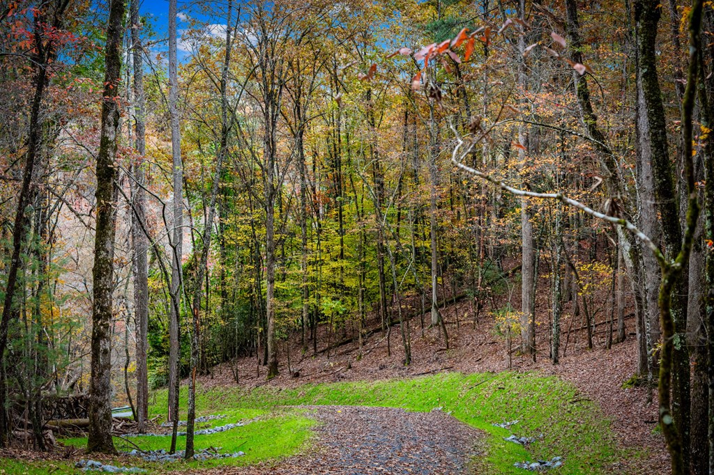 1580 Galloway Road Property Photo 15