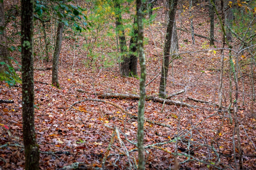 1580 Galloway Road Property Photo 41