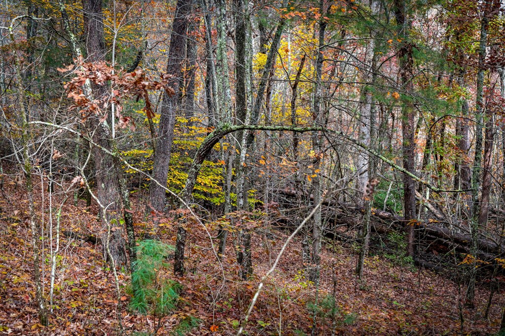 1580 Galloway Road Property Photo 51