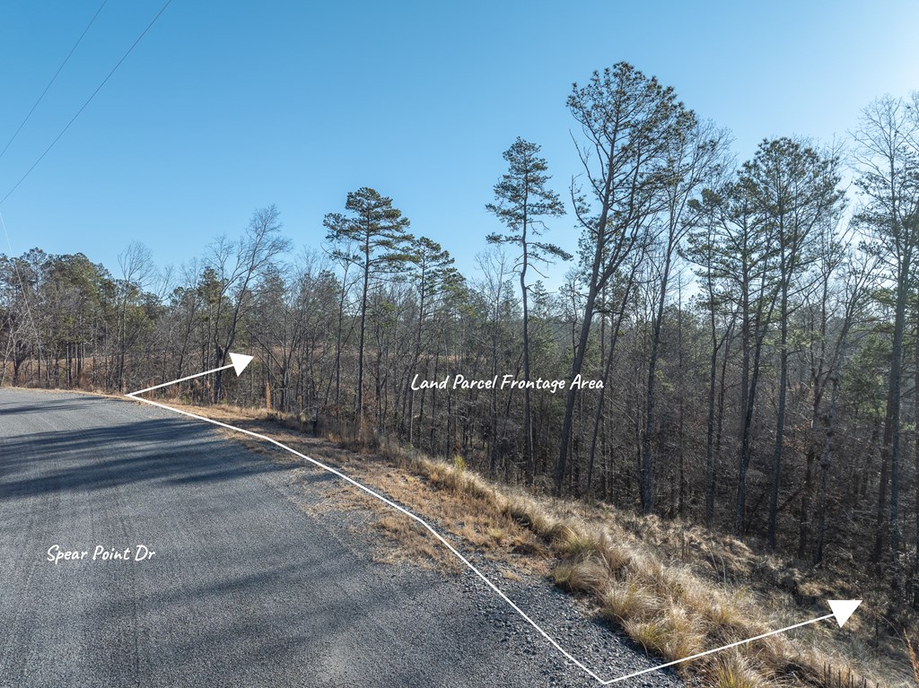 Lot 244 Spear Point Dr Property Photo 5